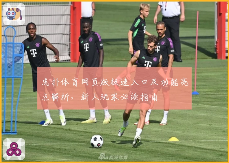 虎扑体育网页版极速入口及功能亮点解析，新人玩家必读指南
